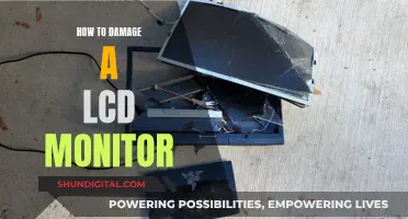 Destroying an LCD Monitor: Step-by-Step Guide