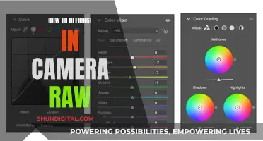 Defringing in Camera Raw: A Step-by-Step Guide