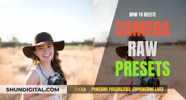 Deleting Camera Raw Presets: A Step-by-Step Guide