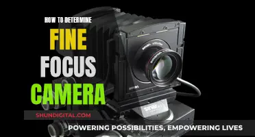 Fine-Tuning Your Camera Focus: A Comprehensive Guide