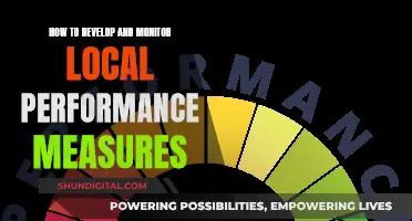 Developing Local Performance Measures: Strategies for Effective Monitoring