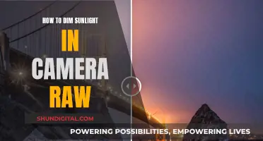 Adjusting Sunlight in Camera Raw: Dimming Techniques