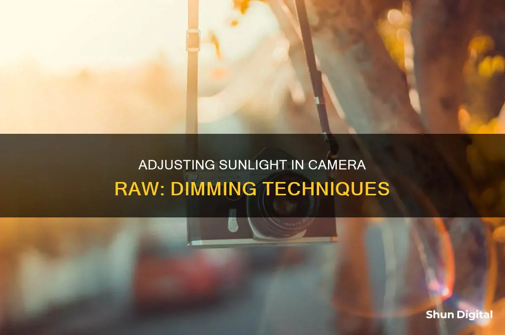 how to dim sunlight in camera raw