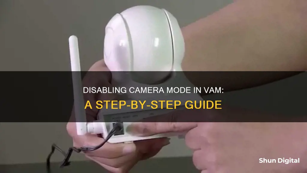 how to disable camera mode in vam