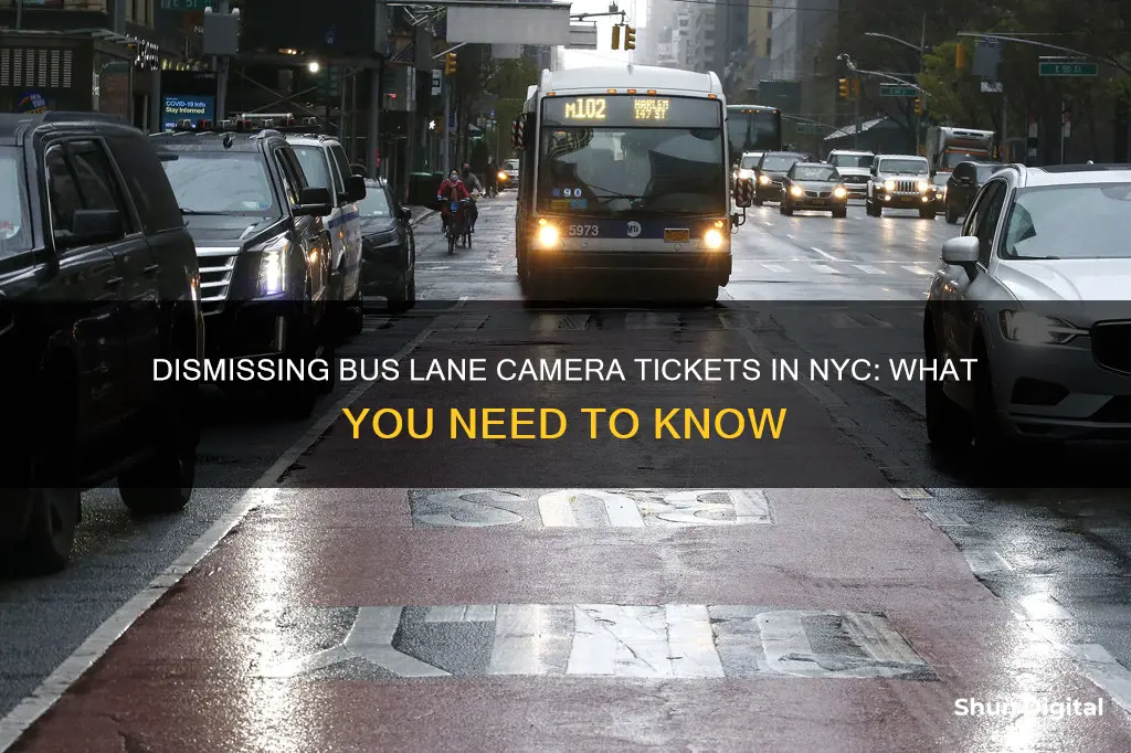 how to dismiss bus lane camera ticket nyc