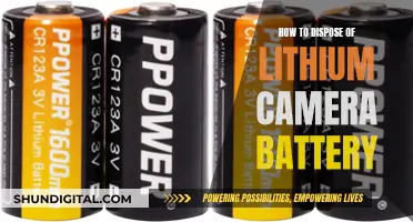 Dispose of Your Camera's Lithium Battery the Right Way