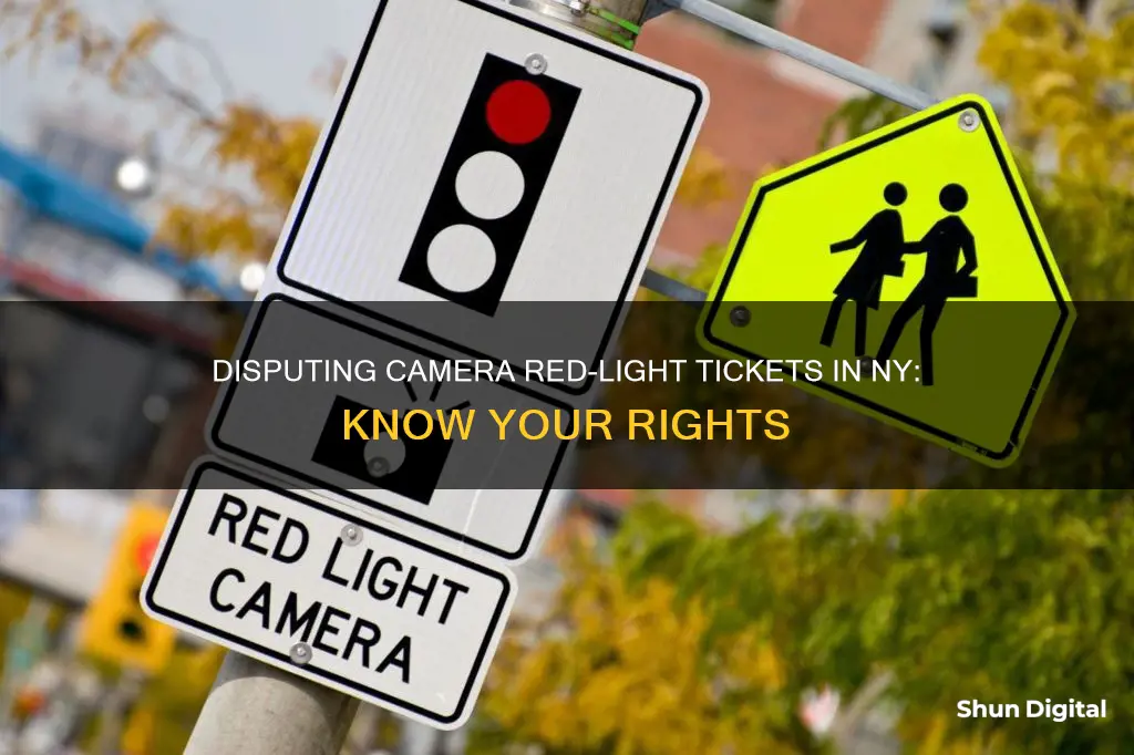 how to dispute a camera redlight ticket ny