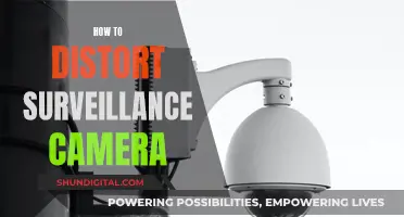 Disrupting Surveillance Cameras: Effective Ways to Distort Their Vision