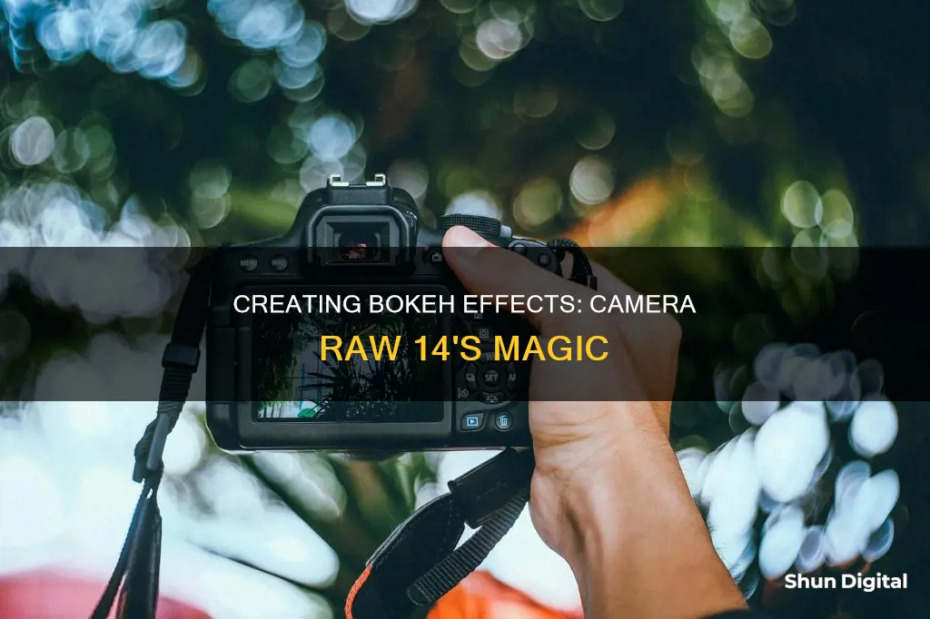 how to do bokeh with camera raw 14