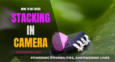 Mastering Focus Stacking: In-Camera Techniques for Sharp Photos