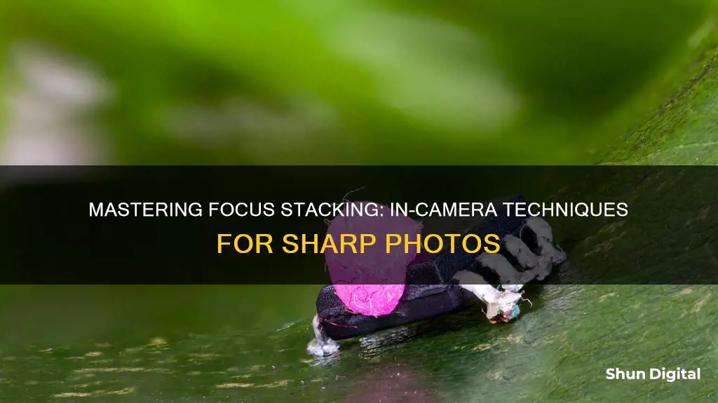 how to do focus stacking in camera