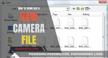 Downsizing Raw Camera Files: Techniques for Efficient Storage