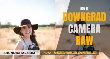 Downgrading Camera Raw: A Simple Guide