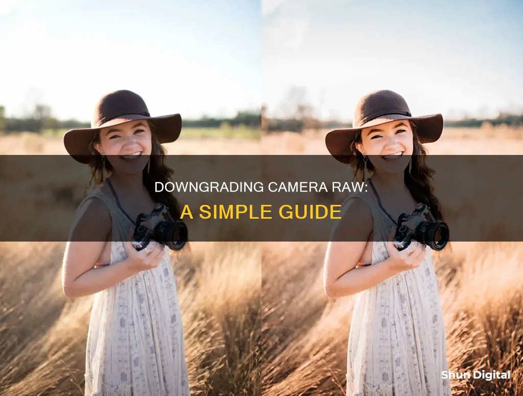 how to downgrade camera raw