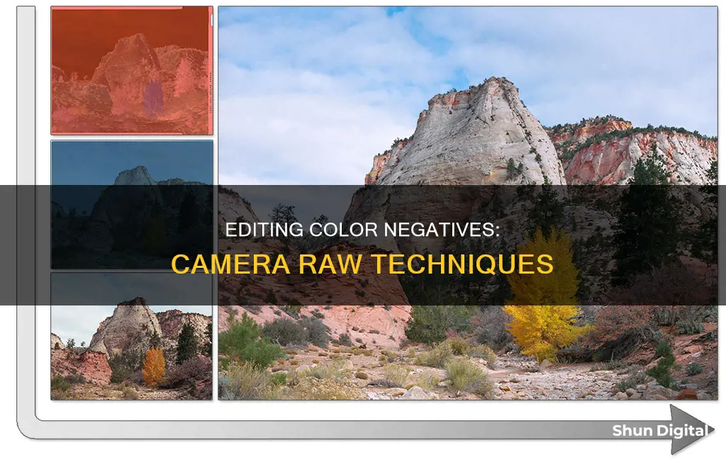 how to edit color negatives in camera raw