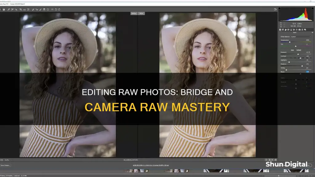 how to edit in camera raw in bridge