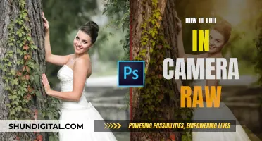 Editing Essentials: Camera Raw Techniques