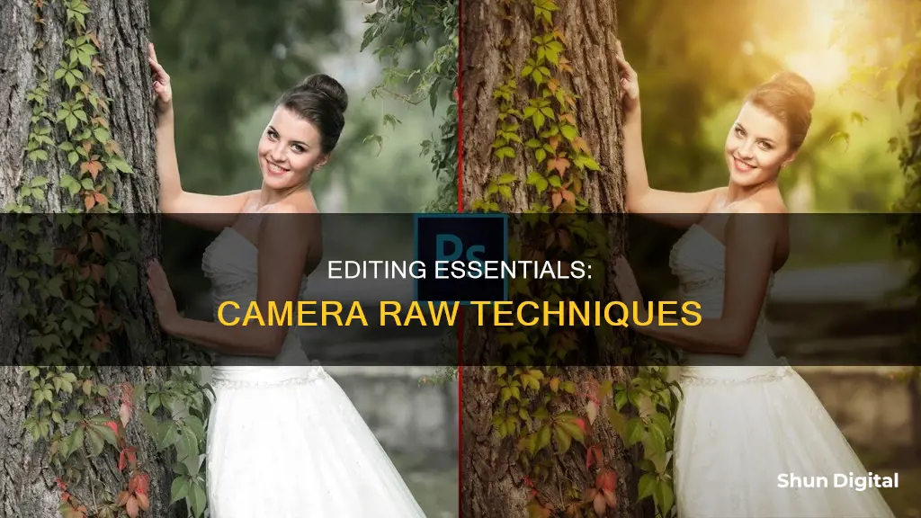 how to edit in camera raw