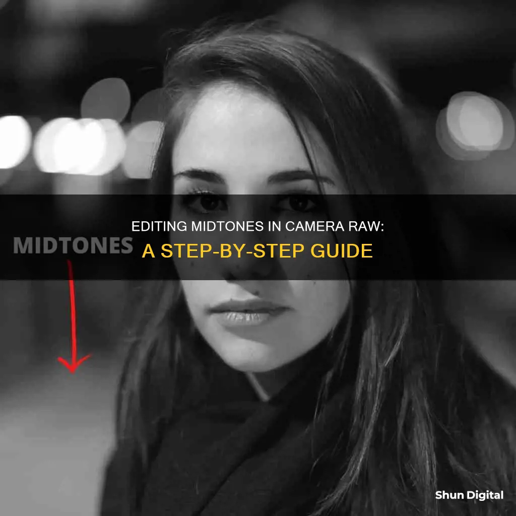 how to edit midtones camera raw