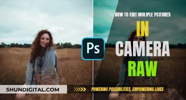 Quickly Edit Multiple Photos in Camera Raw