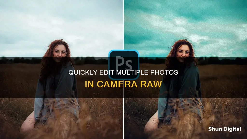 how to edit muliple pcitures in camera raw