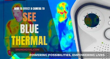 Enhancing Camera Vision: Blue Thermal Sight