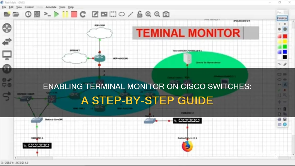 how to enable terminal monitor on cisco switch