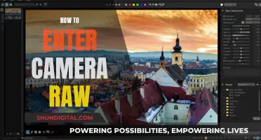 Unleashing Camera Raw: A Guide to Unlocking the Power