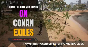 Unlocking the Free Camera Mode in Conan Exile