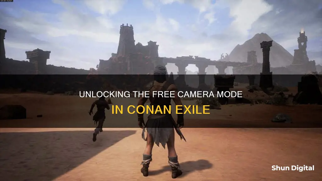 how to enter free mode camera on conan exiles