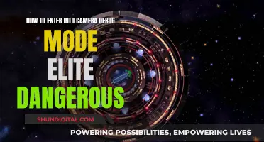 Accessing Camera Debug Mode in Elite Dangerous