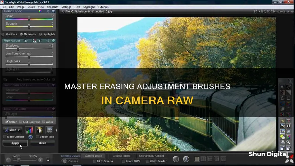 how to erase adjustment brush in camera raw