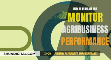 Evaluating Agribusiness Performance: Strategies for Success