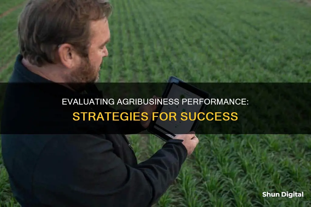 how to evaluate and monitor agribusiness performance