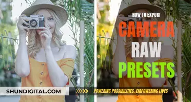 Exporting Camera Raw Presets: A Step-by-Step Guide