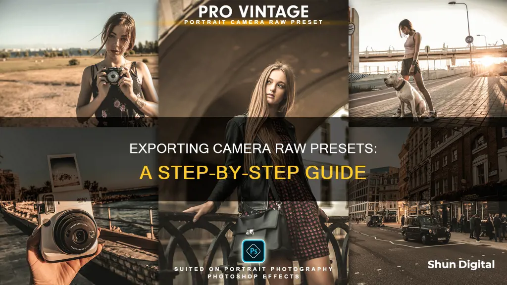 how to export camera raw presets