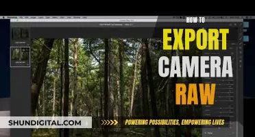 Mastering Camera Raw Exports: Tips and Tricks