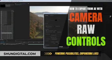 Exporting from AE: Camera Raw Controls Explained