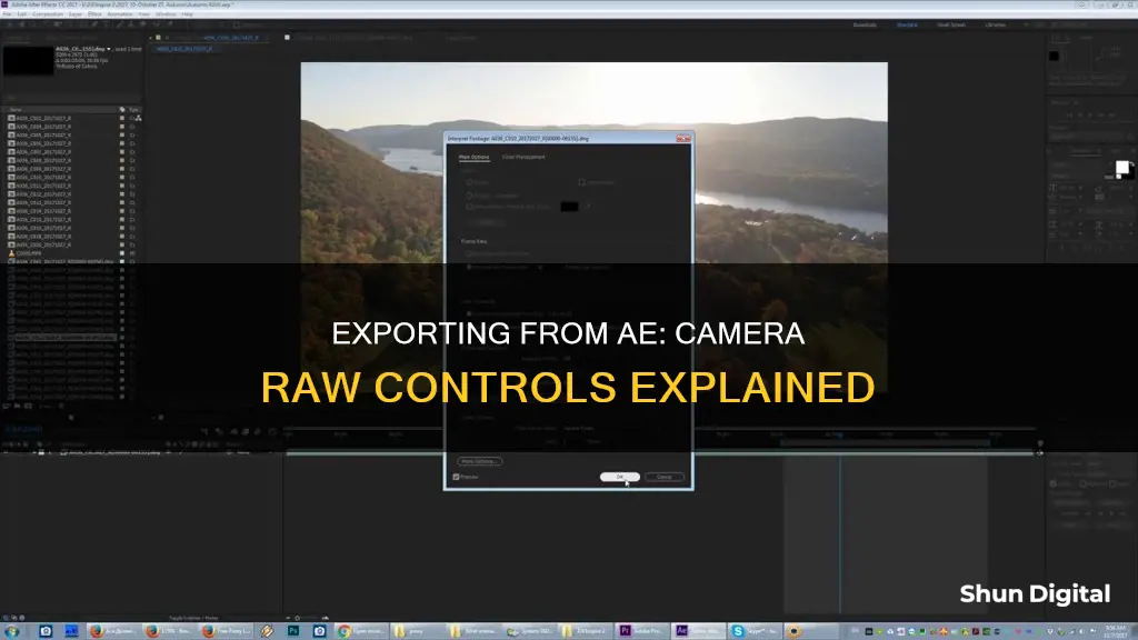 how to export from ae with camera raw controls