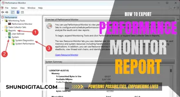 Exporting Performance Monitor Reports: A Step-by-Step Guide