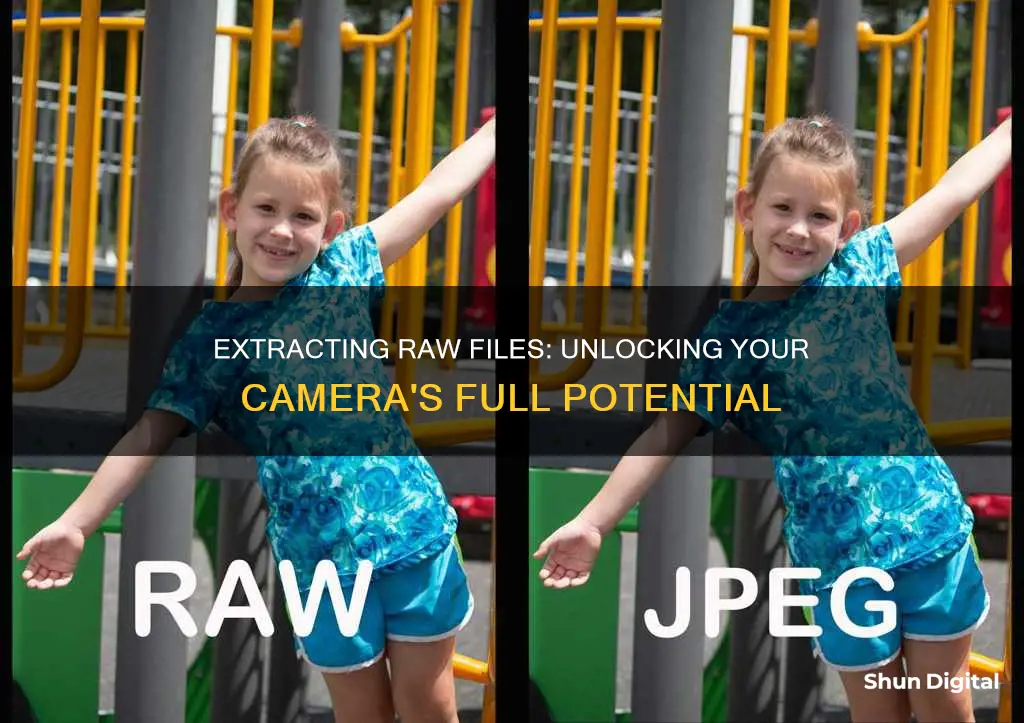 how to extract raw files from camera