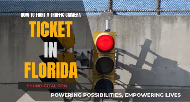 Fight Traffic Camera Tickets: Florida Drivers' Guide