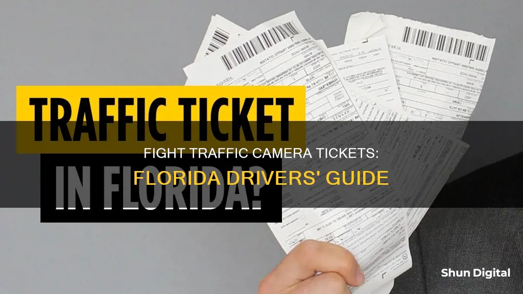 how to fight a traffic camera ticket in Florida