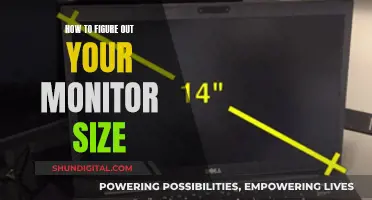 Choosing the Right Monitor: Size Considerations