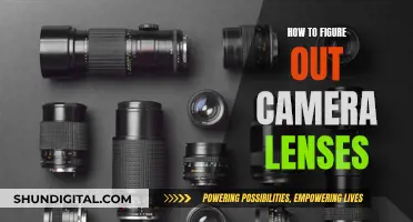 Understanding Camera Lenses: A Beginner's Guide to Photography