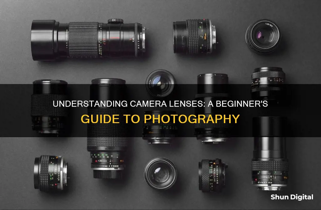 how to figure out camera lenses