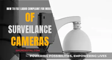 Surveillance Camera Abuse: Know Your Rights, File a Labor Complaint