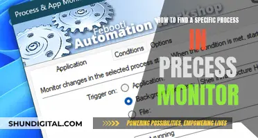 Finding Specific Processes in Process Monitor: A Quick Guide