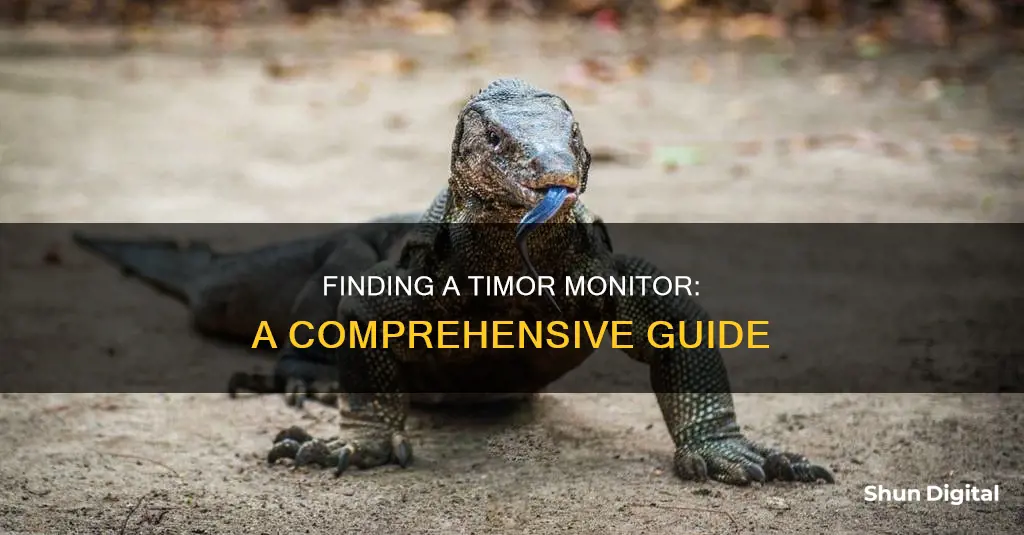 how to find a timor monitor