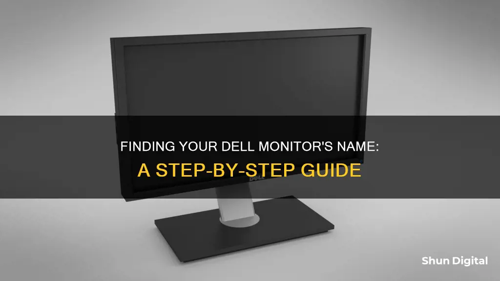 how to find ell monitor name